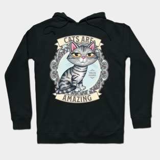 Cute Gray Kitty Cat on Silver Cats are Amazing Hoodie